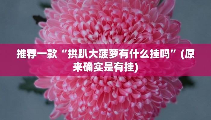 推荐一款“拱趴大菠萝有什么挂吗”(原来确实是有挂)