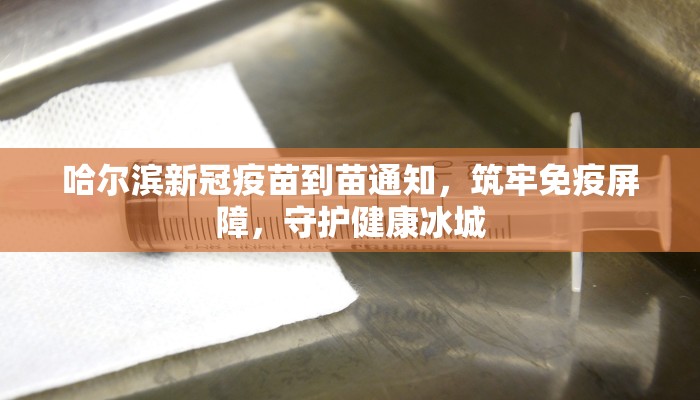 哈尔滨新冠疫苗到苗通知，筑牢免疫屏障，守护健康冰城