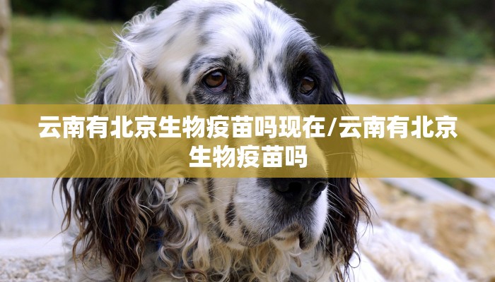 云南有北京生物疫苗吗现在/云南有北京生物疫苗吗