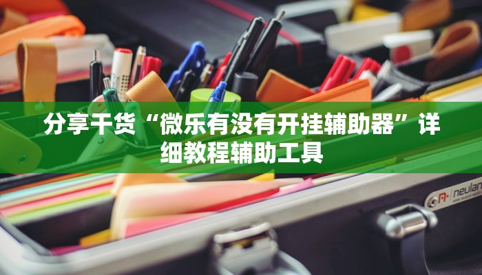分享干货“微乐有没有开挂辅助器”详细教程辅助工具