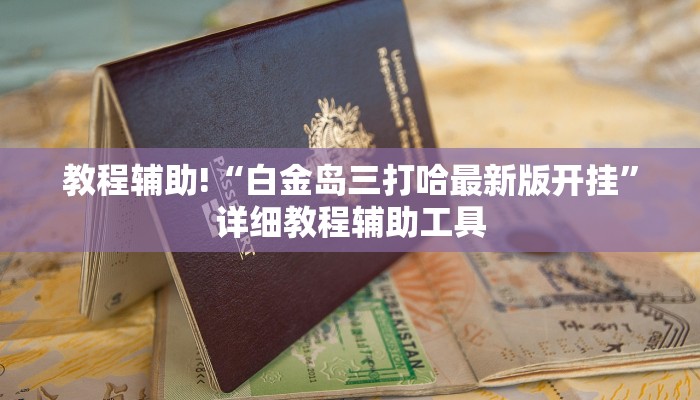 教程辅助!“白金岛三打哈最新版开挂”详细教程辅助工具