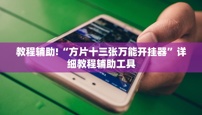 教程辅助!“方片十三张万能开挂器”详细教程辅助工具