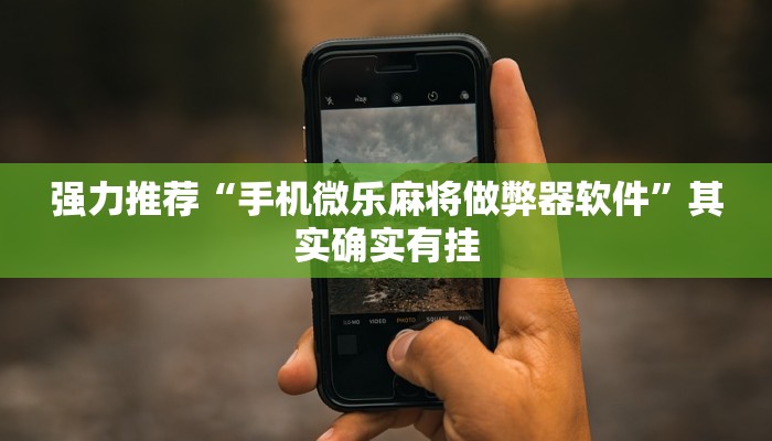 强力推荐“手机微乐麻将做弊器软件”其实确实有挂