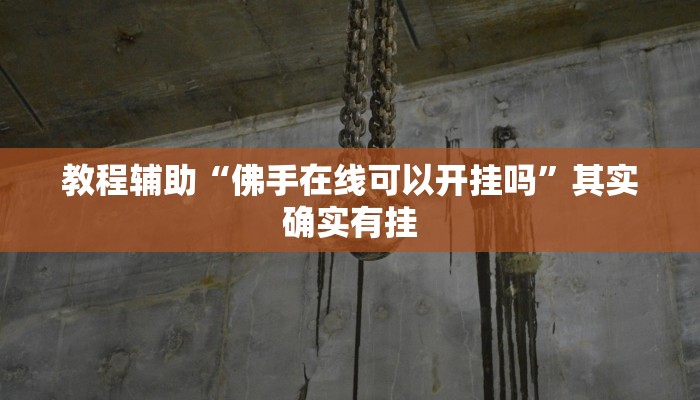 教程辅助“佛手在线可以开挂吗”其实确实有挂
