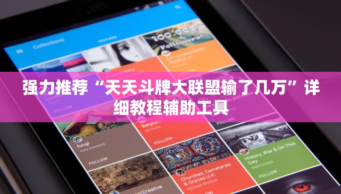 强力推荐“天天斗牌大联盟输了几万”详细教程辅助工具