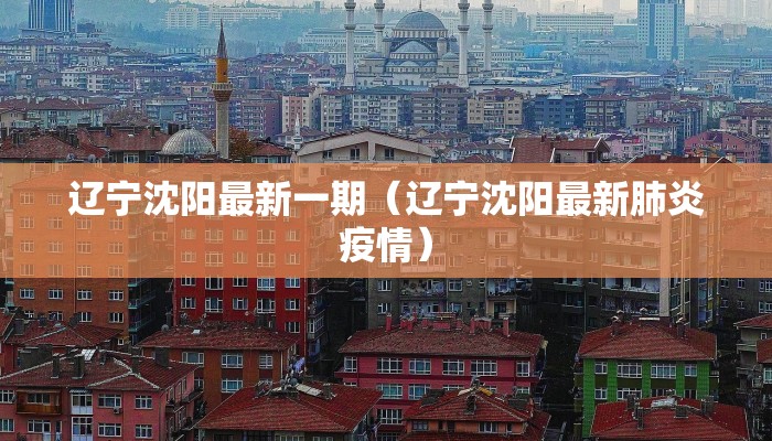 辽宁沈阳最新一期（辽宁沈阳最新肺炎疫情）