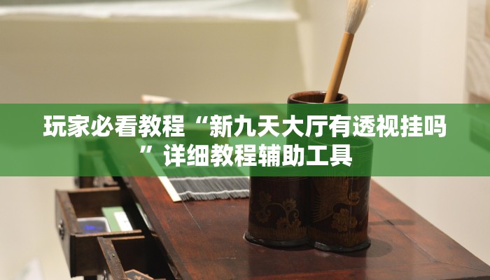 玩家必看教程“新九天大厅有透视挂吗”详细教程辅助工具