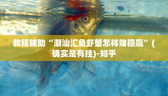 教程辅助“潮汕汇鱼虾蟹怎样赌稳赢”(确实是有挂)-知乎