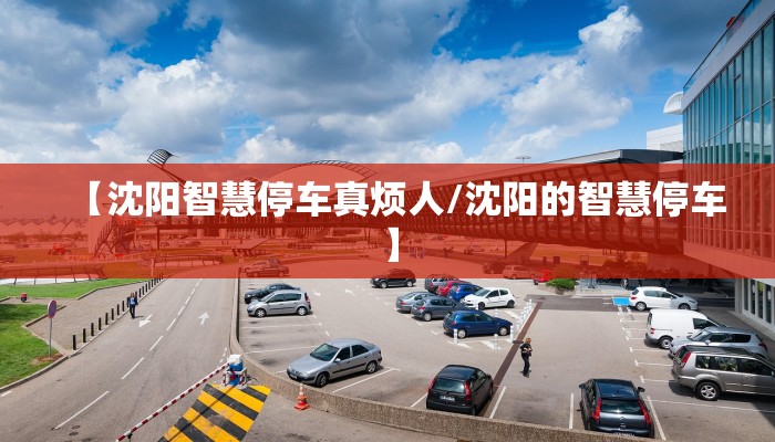 【沈阳智慧停车真烦人/沈阳的智慧停车】