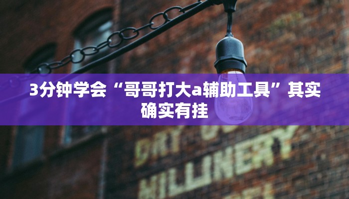 3分钟学会“哥哥打大a辅助工具”其实确实有挂