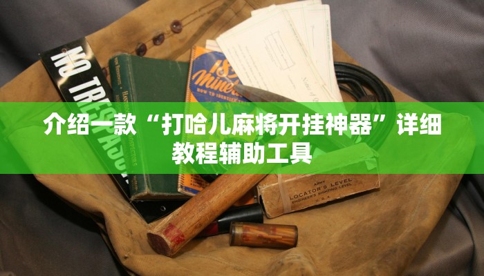 介绍一款“打哈儿麻将开挂神器”详细教程辅助工具