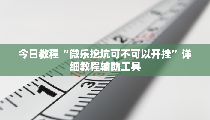 今日教程“微乐挖坑可不可以开挂”详细教程辅助工具