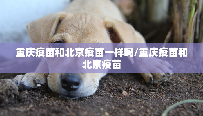 重庆疫苗和北京疫苗一样吗/重庆疫苗和北京疫苗
