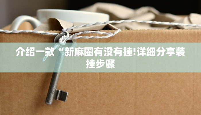 介绍一款“新麻圈有没有挂!详细分享装挂步骤