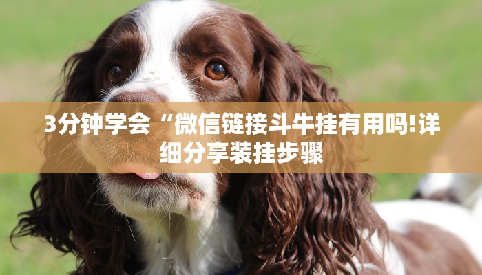 3分钟学会“微信链接斗牛挂有用吗!详细分享装挂步骤