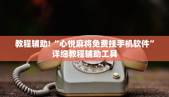 教程辅助!“心悦麻将免费挂手机软件”详细教程辅助工具