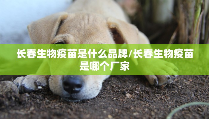 长春生物疫苗是什么品牌/长春生物疫苗是哪个厂家