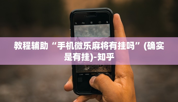 教程辅助“手机微乐麻将有挂吗”(确实是有挂)-知乎