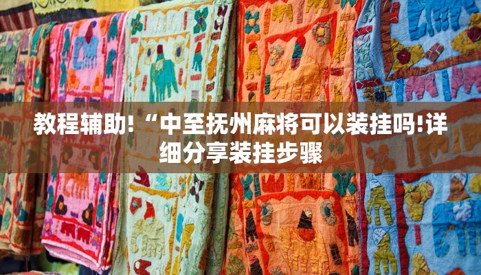 教程辅助!“中至抚州麻将可以装挂吗!详细分享装挂步骤