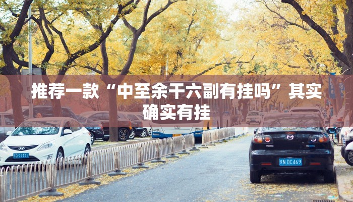推荐一款“中至余干六副有挂吗”其实确实有挂