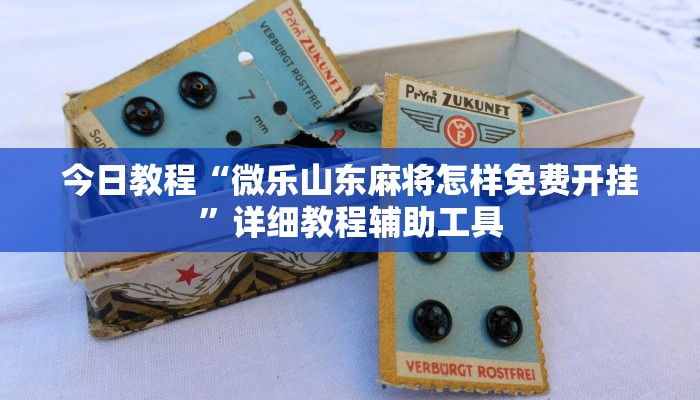 今日教程“微乐山东麻将怎样免费开挂”详细教程辅助工具