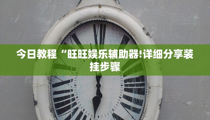 今日教程“旺旺娱乐辅助器!详细分享装挂步骤
