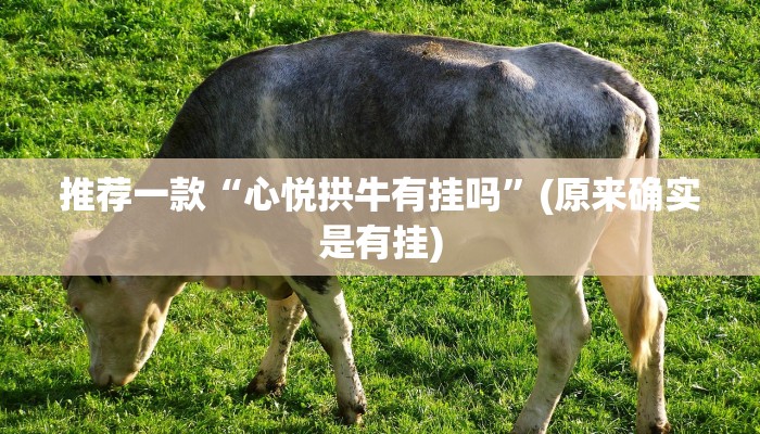 推荐一款“心悦拱牛有挂吗”(原来确实是有挂)