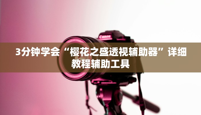 3分钟学会“樱花之盛透视辅助器”详细教程辅助工具