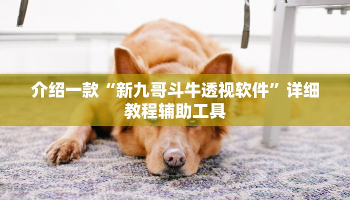 介绍一款“新九哥斗牛透视软件”详细教程辅助工具