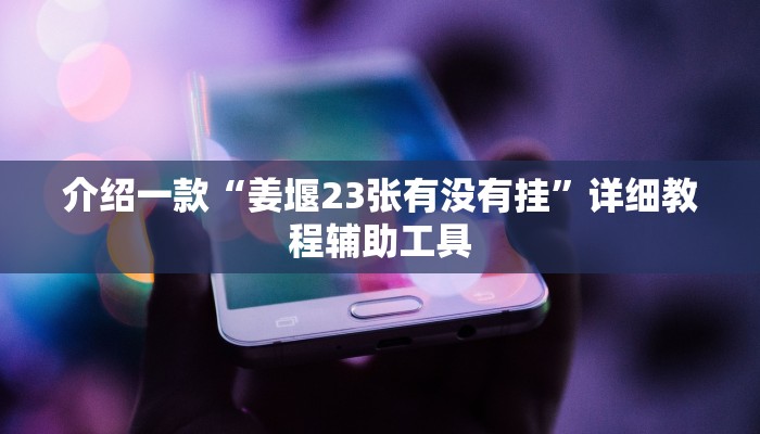 介绍一款“姜堰23张有没有挂”详细教程辅助工具
