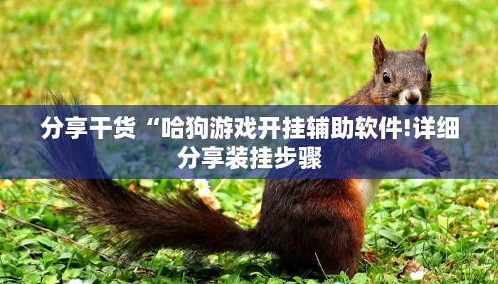 分享干货“哈狗游戏开挂辅助软件!详细分享装挂步骤