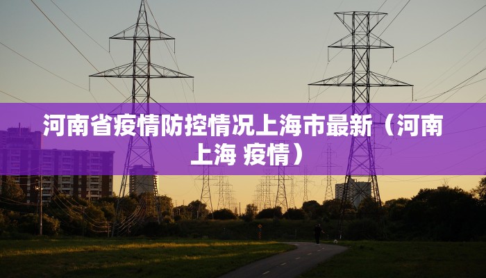 河南省疫情防控情况上海市最新（河南 上海 疫情）
