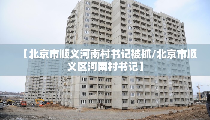 【北京市顺义河南村书记被抓/北京市顺义区河南村书记】