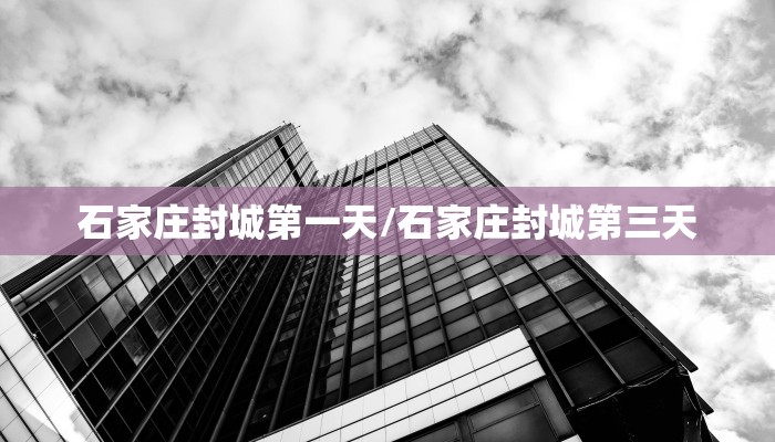 石家庄封城第一天/石家庄封城第三天