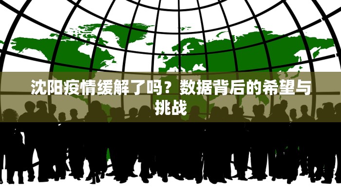 沈阳疫情缓解了吗？数据背后的希望与挑战