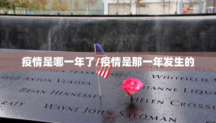 疫情是哪一年了/疫情是那一年发生的