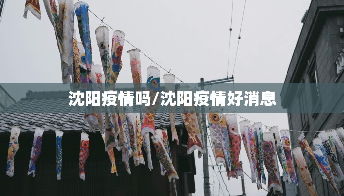 沈阳疫情吗/沈阳疫情好消息
