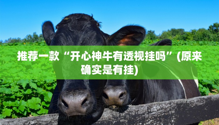 推荐一款“开心神牛有透视挂吗”(原来确实是有挂)
