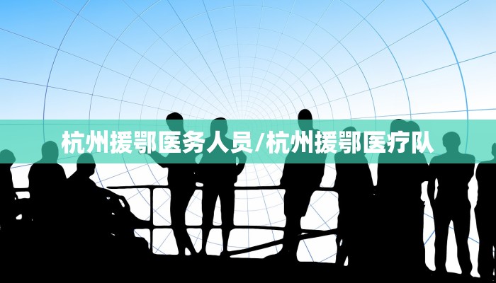 杭州援鄂医务人员/杭州援鄂医疗队