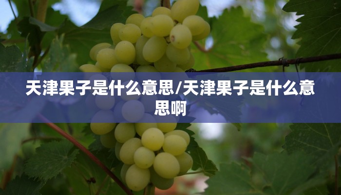 辅助神器“微乐斗地主怎么才能拿到好牌”(详细透视教程)-知乎