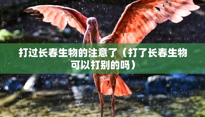 打过长春生物的注意了（打了长春生物可以打别的吗）