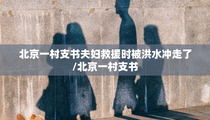 北京一村支书夫妇救援时被洪水冲走了/北京一村支书