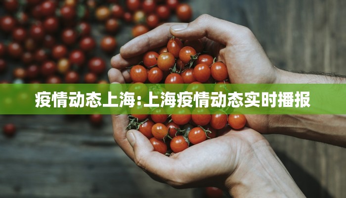 疫情动态上海:上海疫情动态实时播报