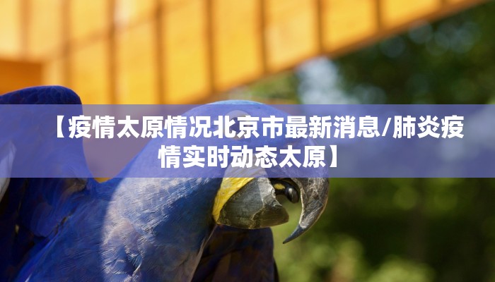 【疫情太原情况北京市最新消息/肺炎疫情实时动态太原】