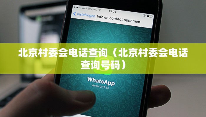 北京村委会电话查询（北京村委会电话查询号码）
