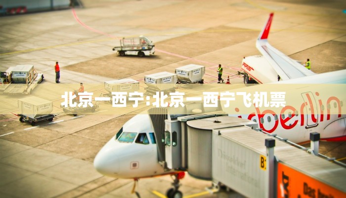 北京一西宁:北京一西宁飞机票