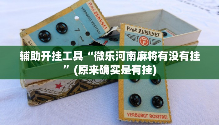 辅助开挂工具“微乐河南麻将有没有挂”(原来确实是有挂)