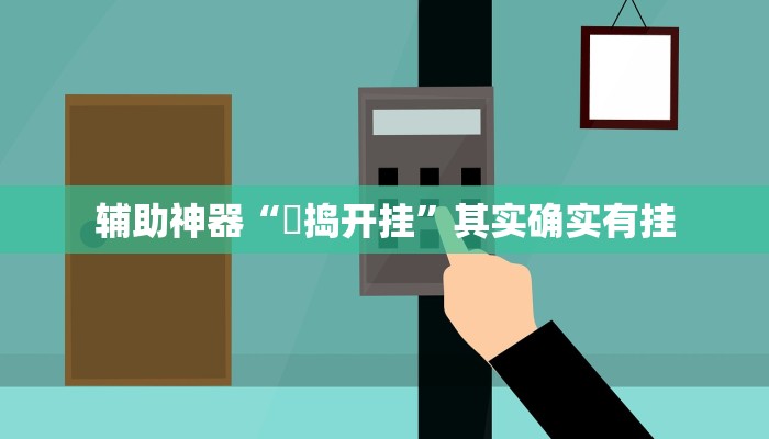 辅助神器“玙捣开挂”其实确实有挂