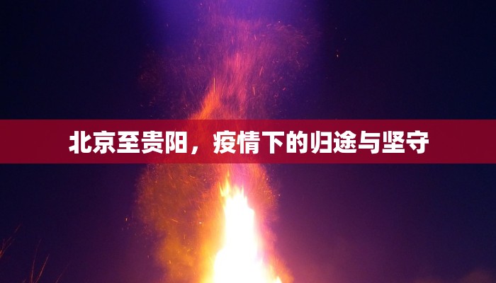 北京至贵阳，疫情下的归途与坚守