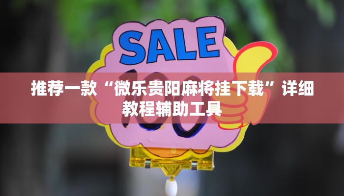 推荐一款“微乐贵阳麻将挂下载”详细教程辅助工具